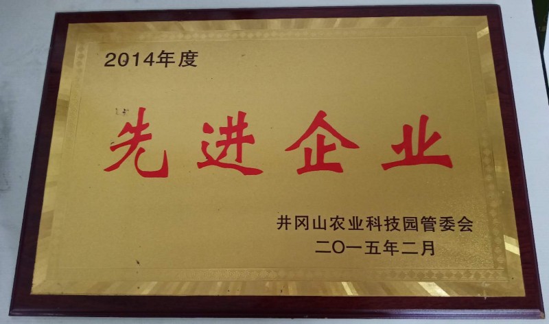 先进企业2015.2