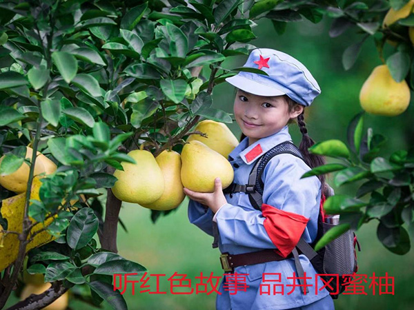 果园环境